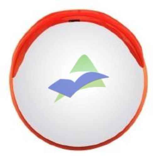 Convex Mirror Stainless Steel 600