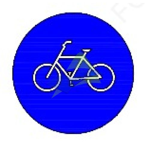 Dedicated Lane (Bicycle)