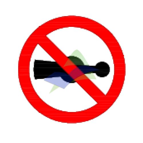 Restriction On Use Of Horns